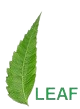 LEAF Engineering  Consultants
